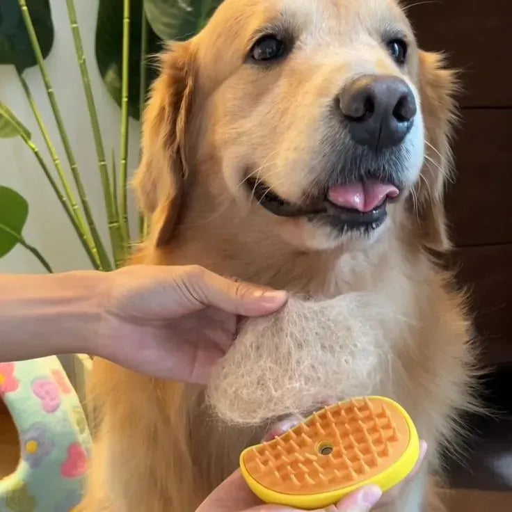 Cepillo De Vapor Para Mascotas Para Mudar De Pelo 3 en 1