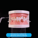 ✨ AquaSmile Pro – Irrigador Dental Inalámbrico ✨