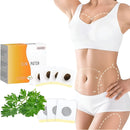 Parches Adelgazantes de Artemisa y Biomagnéticos para Cintura Definida - Redox