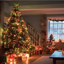 Cadena de Luces Navideñas 50 m – LightWave